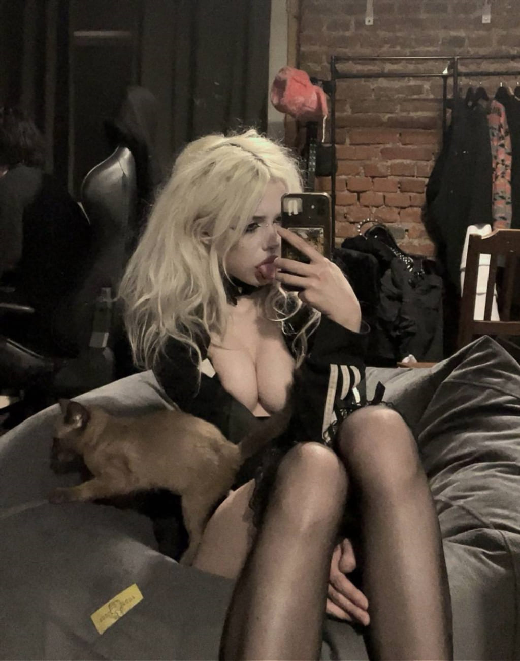 фирменный стиль Par4D0Xy кадр 267